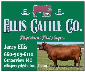 Ellis Cattle Company